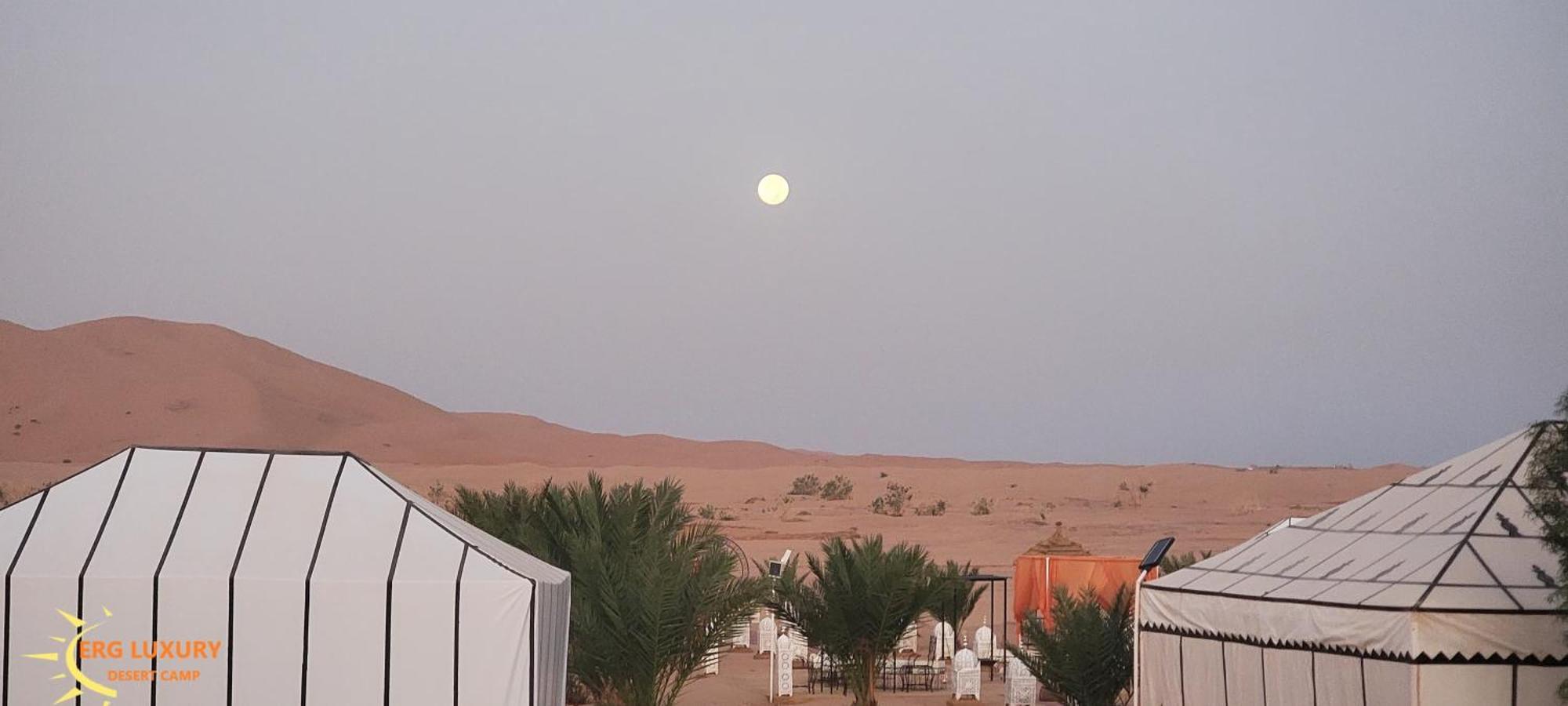 ホテル Dounia Luxury Camp メルズーガ エクステリア 写真